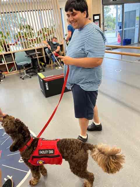 Man leading a brown dog on a leash.