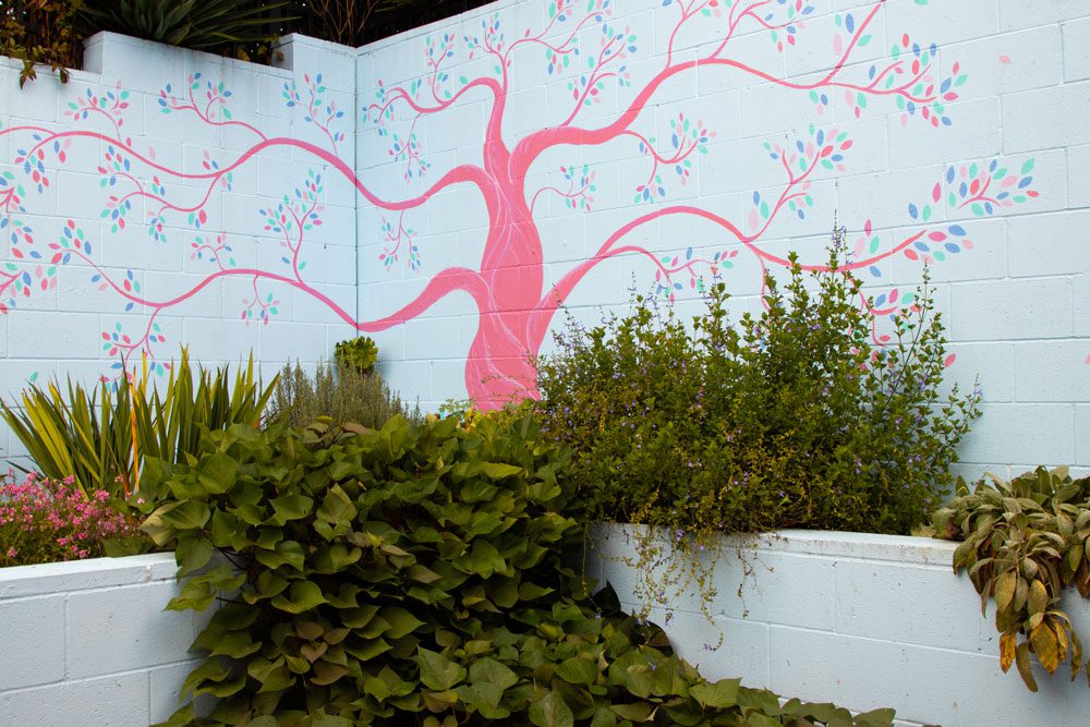 Mai-Wel's John Street site has sensory gardens for participants to enjoy.