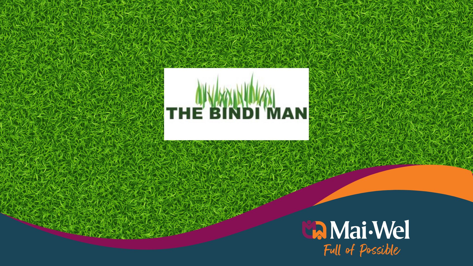 The Bindi Man
