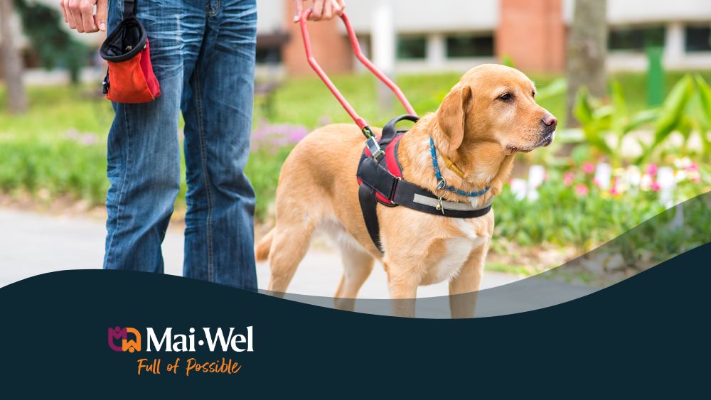 International Guide Dog Day